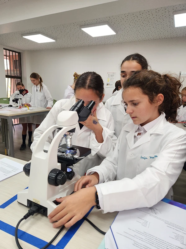 stem csuv